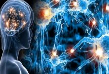 یائسگی بر پیشروی بیماری ام‌اس تأثیری ندارد