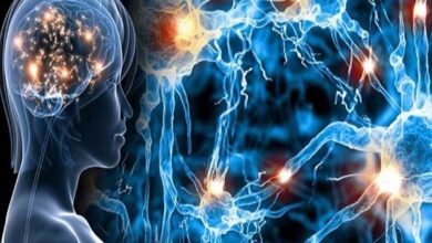 یائسگی بر پیشروی بیماری ام‌اس تأثیری ندارد