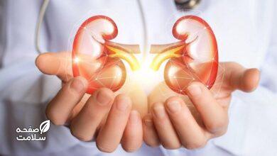 غذاهای خوب برای کلیه
